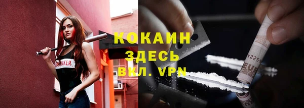 молекула духа Белоозёрский