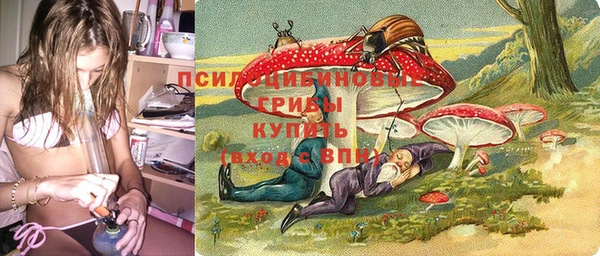 ALPHA PVP Белокуриха