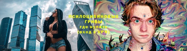 ПСИЛОЦИБИНОВЫЕ ГРИБЫ Саяногорск