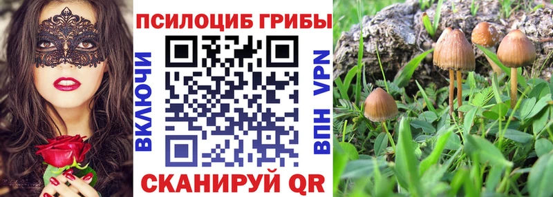 как найти закладки Кодинск МЕГА ССЫЛКА Галлюциногенные грибы Cubensis